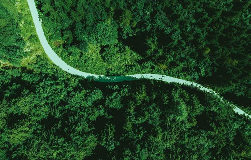 担责于身，推动绿色发展