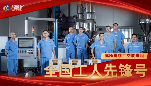 致敬!丨云顶集团股份交联班组荣膺“全国工人先锋号”