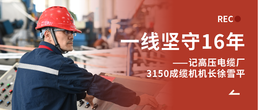 徐雪平：匠“成”于心，十六年筚路“缆”缕