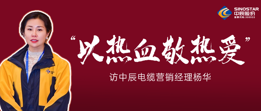 真正的热爱，铸就销售女王——访云顶集团电缆营销经理杨华
